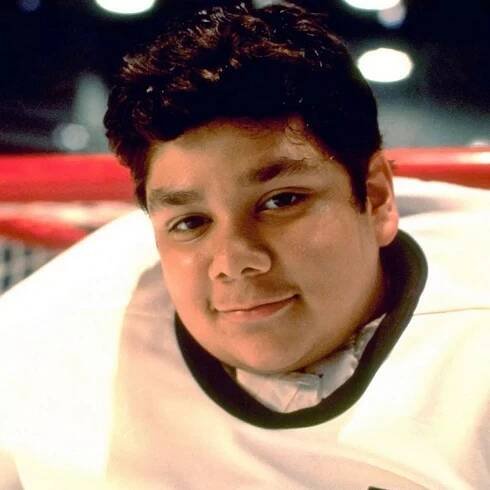 Mighty Ducks' goalie Goldberg 'left out of reboot' despite cleaning up criminal past