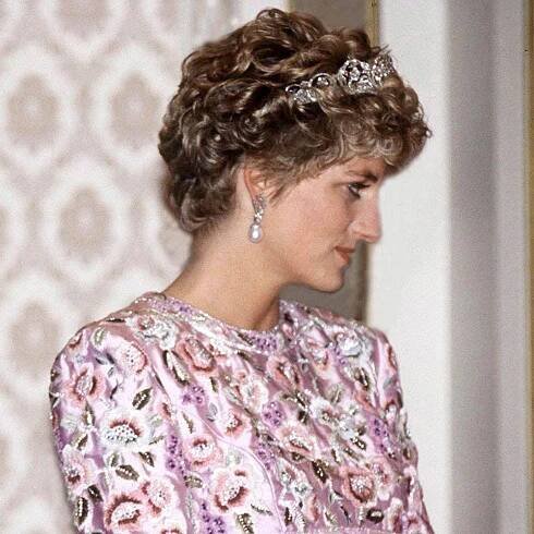 Princess Diana Once Overheard Prince Charles Tell Camilla He'd 