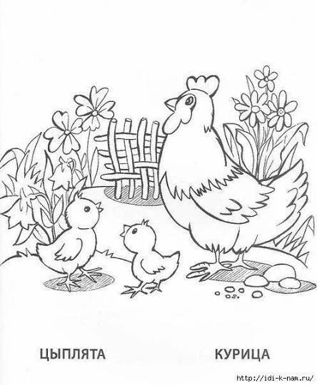 Pin by Virginia Moore on Hadley | Farm animal coloring pages, Animal coloring pages, Coloring pictures