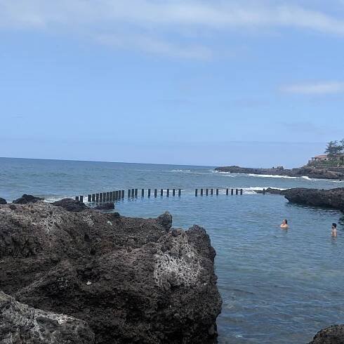 PENSIÓN ALCALÁ - Prices & Pension Reviews (Guia de Isora, Tenerife)