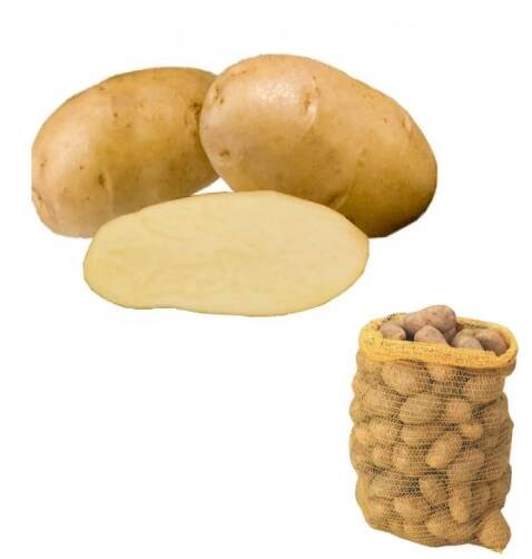 Sazenice brambor ´Agria´ 5kg