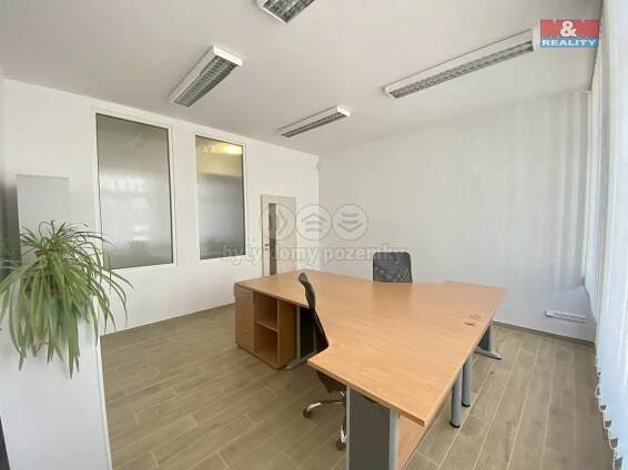 Pronájem kanceláře 21 m², Hlubčická, Krnov - Pod Bezručovým vrchem