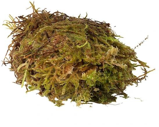 HabiStat Sphagnum Moss přírodní mech