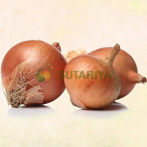 fresh-onion