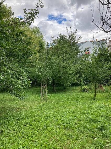 Pronájem Pozemek, tř. Svornosti, Olomouc - Nová Ulice