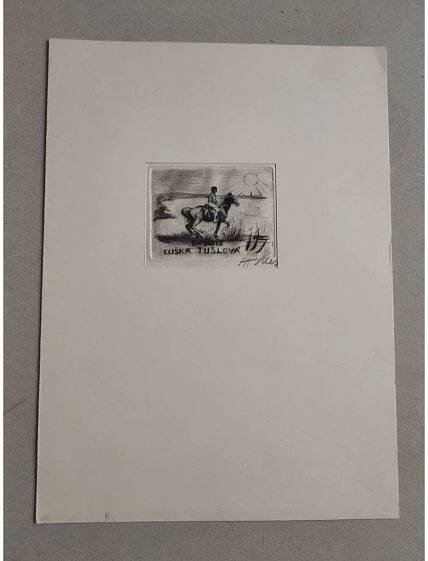 Adolf Alex Jelínek (1890 - 1957) - EX LIBRIS - lept, grafika, signováno - Antikvariát Valentinská