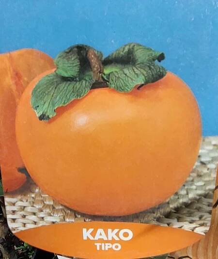 Kaki – Tomel – Zahradnictví Exotické plodiny