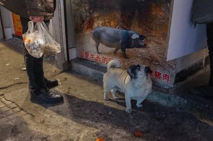 Perfektně načasované a příznačné fotky z čínských ulic | G.cz