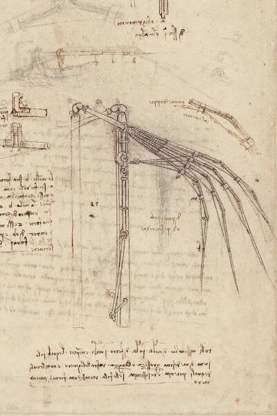 An illustration of old text and a mechanical bird wing