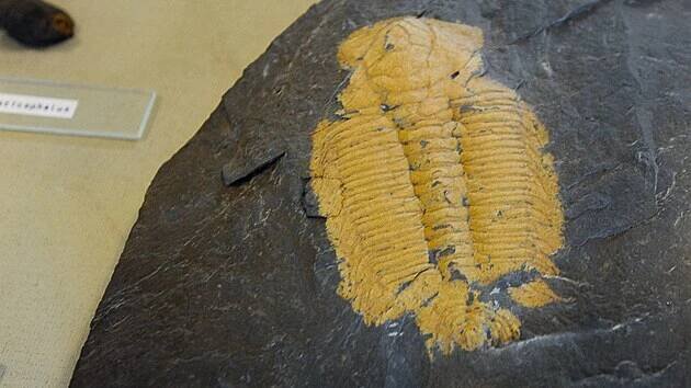 Obec Skryje proslavil francouzský paleontolog Joachim Barrande, který zde ve třicátých letech 19. století objevil bohaté naleziště trilobitů.