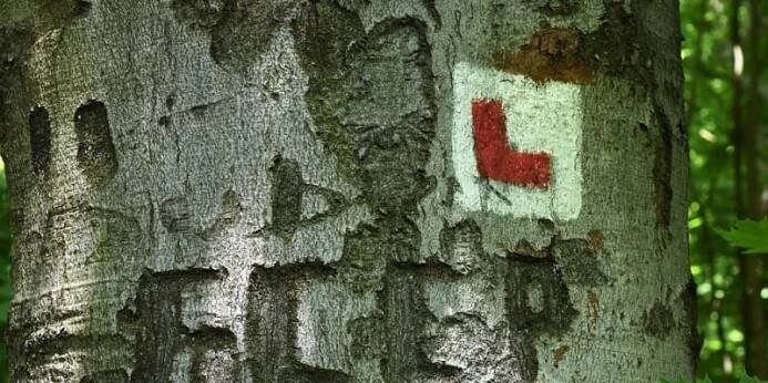 Odbočka na hrad Ralsko v severních Čechcách. Zajímavá je  zkratka CCCP vyrytá zřejmě sovětských vojákem z nedalekého bývalého vojenského prostoru.