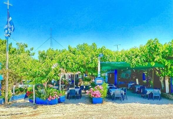 PSAROTAVERNA OI ALYKES, Kato Achaia - Restaurant Reviews, Photos & Phone Number - Tripadvisor