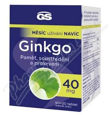 GS Ginkgo 40mg tbl.90+30
