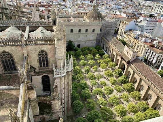 Historic Sevilla Free Walking Tour with locals | By Walkative!