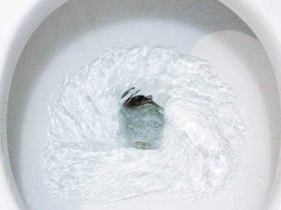 Ghost Flushing: Causes & How To Stop It