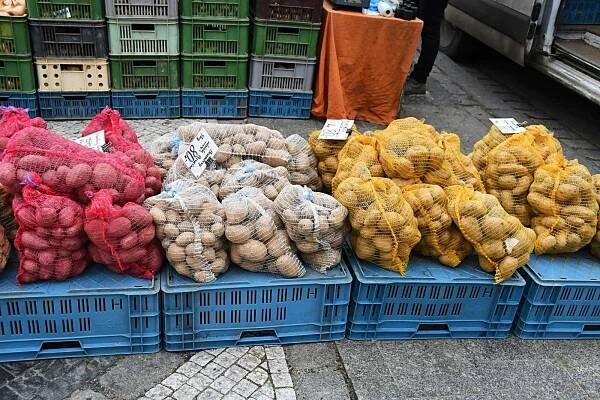 Farmářské trhy v Lounech, zabijačkové hody.
