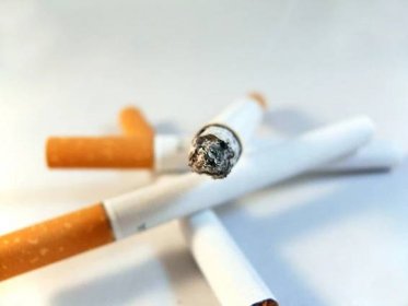 Kouření a jeho vliv na lidský organismus | Aktuality | Zpravodajství |  FLORENCE - Odborný časopis pro ošetřovatelství a ostatní zdravotnické  profese