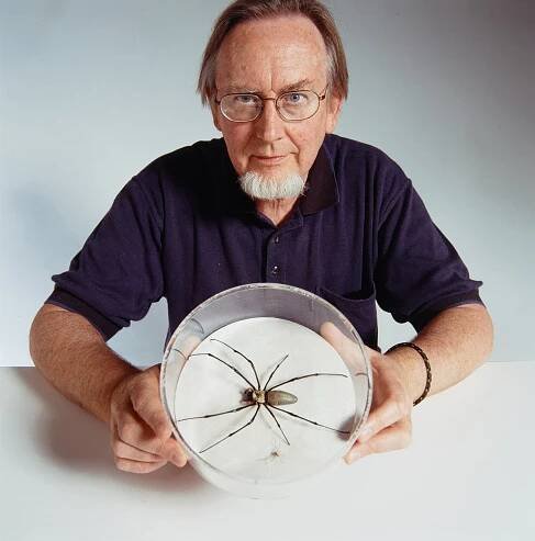 Michael Gray, former AM Arachnologist