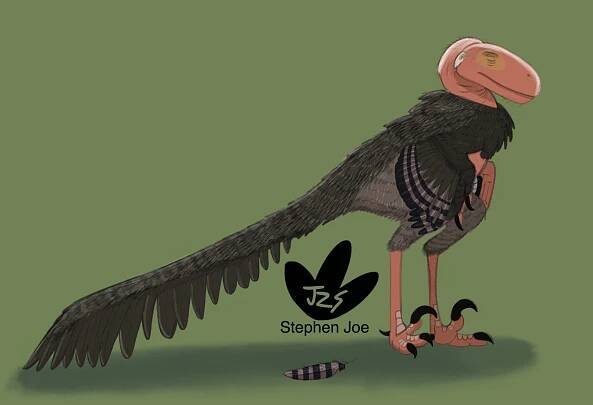 #theropoda – @paleonativeart on Tumblr