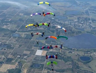 Gallery - Spring Fling, Florida 2017 | European Canopy-Formation Group