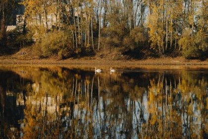 Bezplatný obrázek: listopadu, jezera, podzim, barvy, oranžově žlutá, krajina, idylické, voda, stromy, jezero