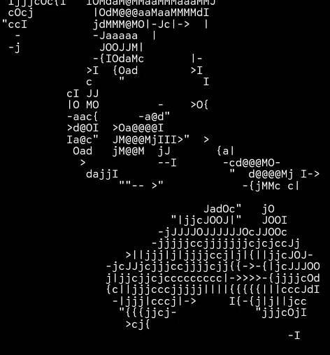 dweb-camp-2024-identity-nezhynska-ascii-1