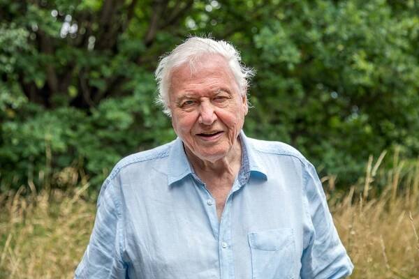 How David Attenborough has championed climate change