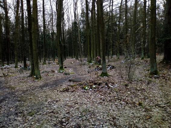 Temný Branišovský les: Duchy nenašli, hřbitov zvířátek ano