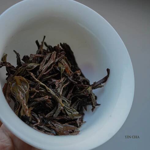 Mi lan xiang Dan Cong, Oolong Tea, Medium Roasted, Orchid Honey, YIN CHA