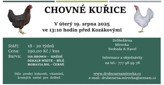 TRPÍN - Prodej drůbeže