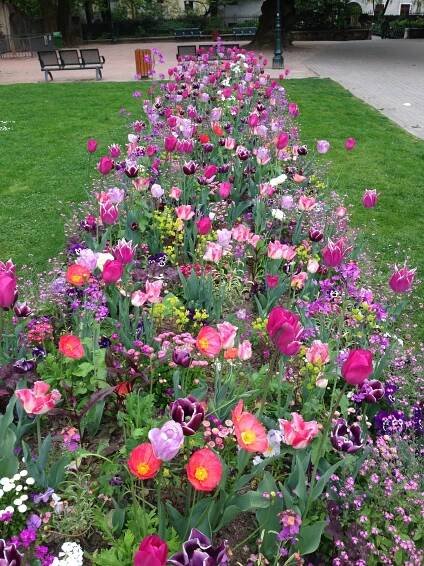 Pin by Chevallier Sonia on Power Patate | Garden planning, Cottage garden, Garden projects