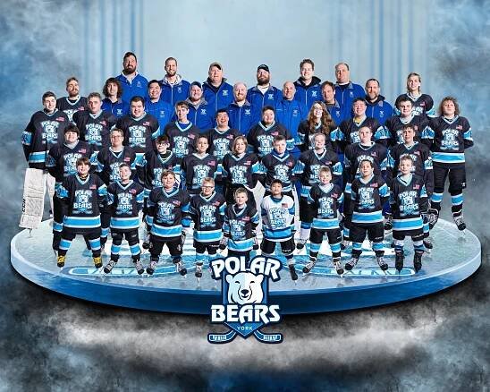 About Us — York Polar Bears