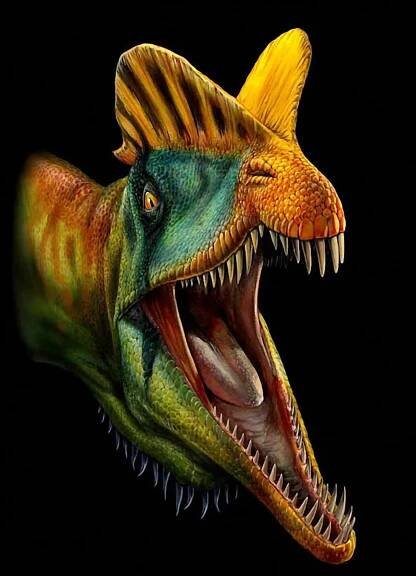 Grafiken und Illustrationen von Davide Bonadonna - Dinodata.de