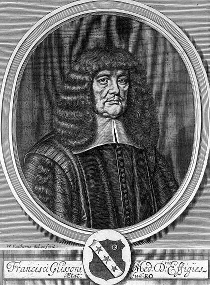Francis Glisson