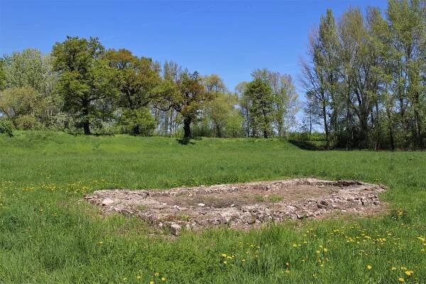 Dolnověstonické duby na valu staroslovanského hradiska