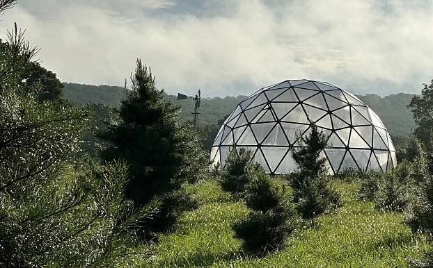 Unleashing the Potential: Geodesic Dome Greenhouses as Next-Level Gardening
