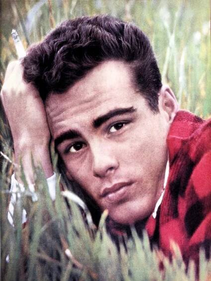dean stockwell, american actor, movie star, classic films, 1950s, 1958, 1957, the careless years, compulsion, gun for a coward, cattle drive, kim, the happy years, stars in my crown, tv shows, 