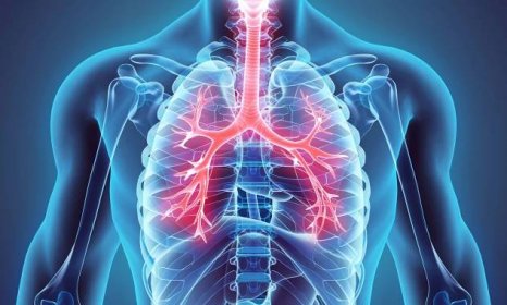 10 bylin pro zdraví plic: Léčí infekce a regenerují sliznice