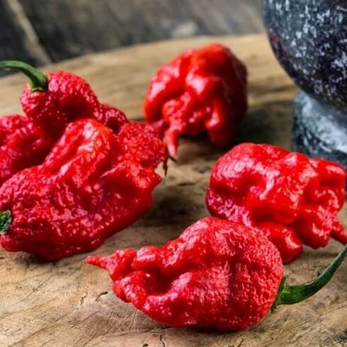 Hot Peppers, Sweet Peppers, Aurora IL-Schaefer Greenhouses Montgomery