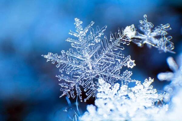 The science of snowflakes and their astonishingly predictable movement