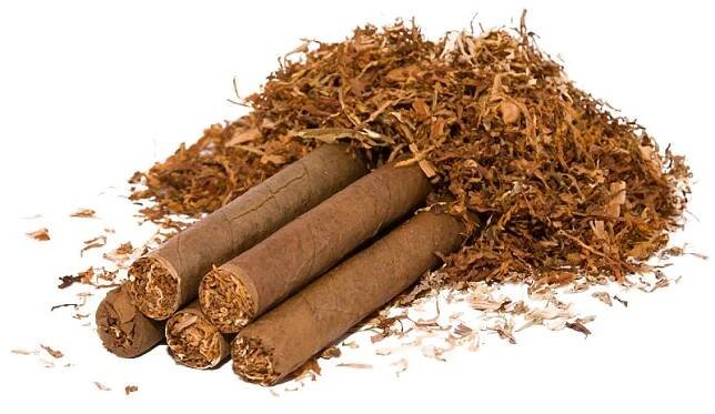 tabak_barlon_SHAMANTOBACCO.cz_01