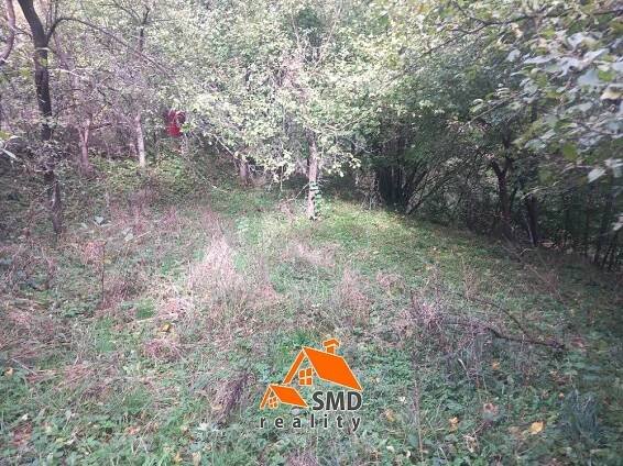 Pronájem pozemky - zahrady, 331 m2 - Mokrá-Horákov