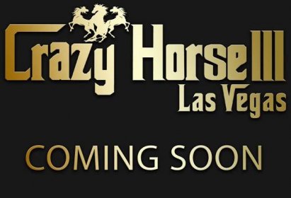 Top Gentlemen's Club Near the Las Vegas Strip | Crazy Horse 3