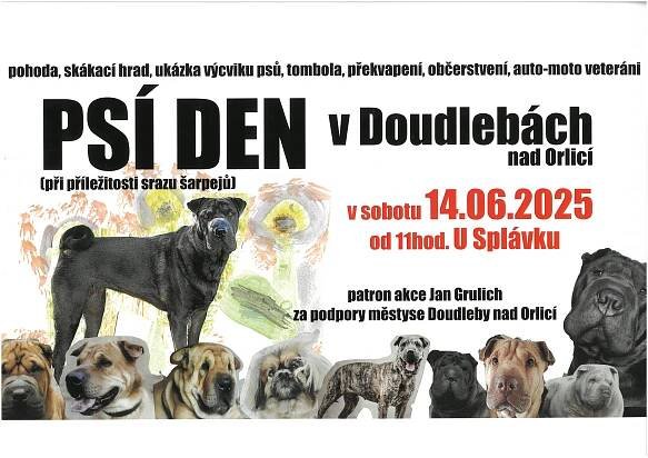 PSÍ DEN