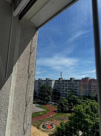 IMG-20250512-WA0008