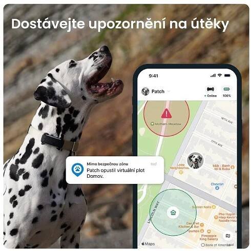 Tractive DOG 6 – GPS lokátor pro psy a monitor zdraví, černý