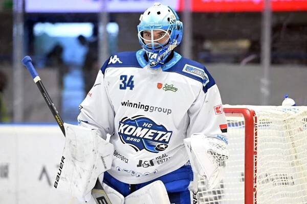 Michal Postava (Kometa Brno) Je mu 22 let, v minulé sezoně chytal první ligu za Přerov, v kolonce extraligových startů mu svítila nula. Přesto se Michal Postava stal novou jedničkou Komety a tuto roli zatím zvládá výborně. V patnácti zápasech vychytal devět výher, jedno čisté konto a zapsal i dvě asistence. Úspěšností zákroků je na 92,33%, v průměru inkasuje 2,21 branky na zápas.