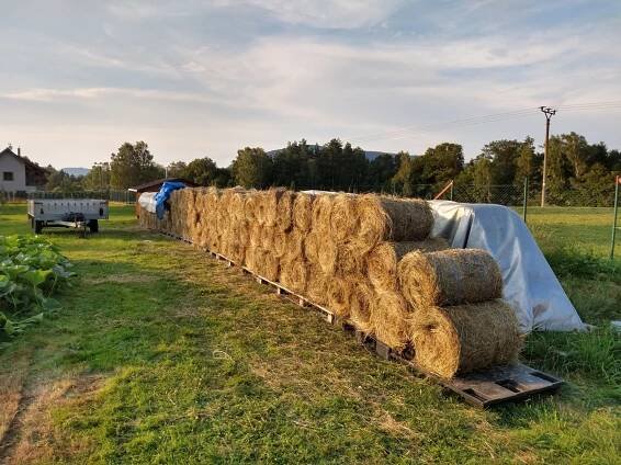 Sena, senáž 2019 – Malá farma Janov