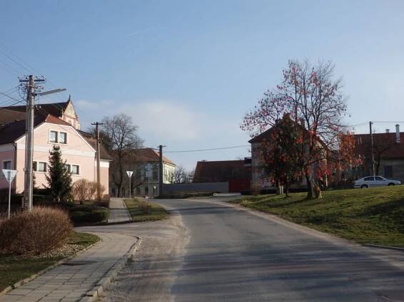 Skořápkovník - Oficiální stránky obce Mašovice