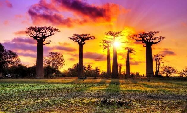 Madagaskar přes Vánoce s all-inclusive. Zájezd od 19 990 Kč